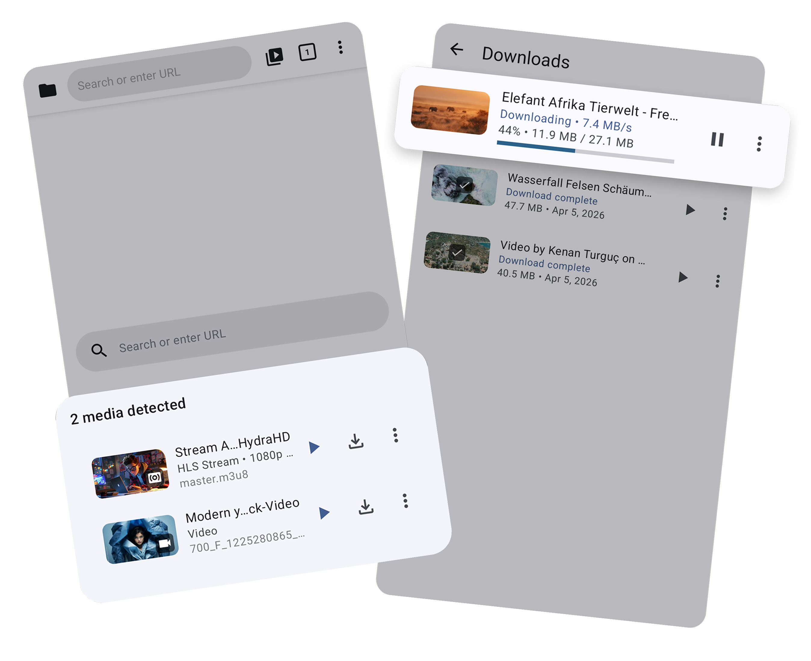 DS Player built-in web browser showing stream and video detection with subtitle support